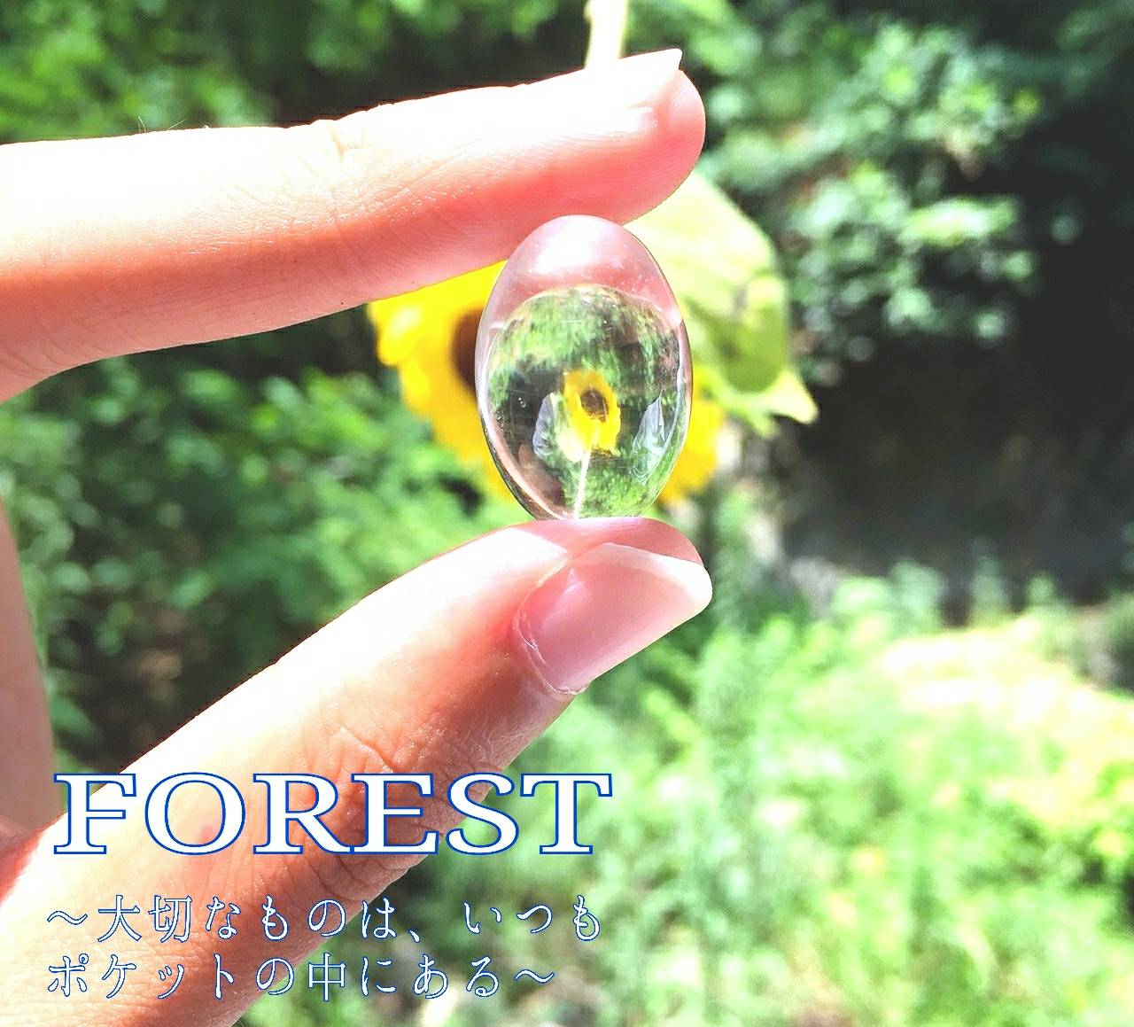 ２０１８年８月２４日（金）～８月２９日（水）　　　ＦＯＲＥＳＴ 展